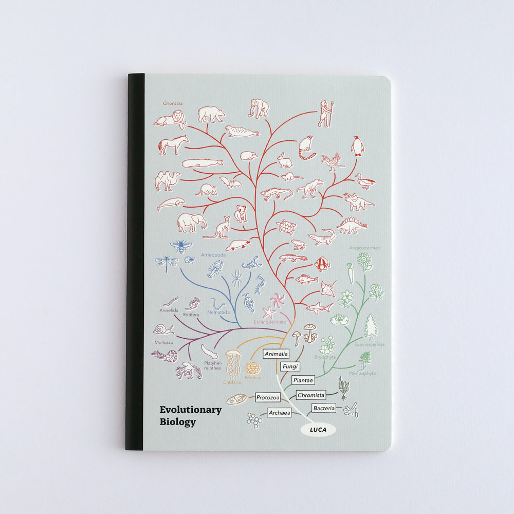Study Holic A5 Notebook
