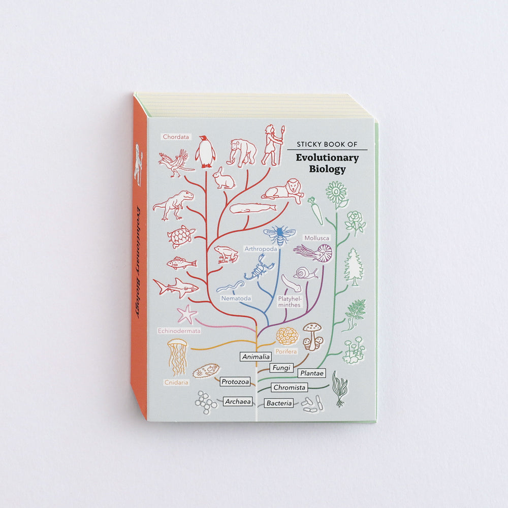 Study Holic Sticky note pad
