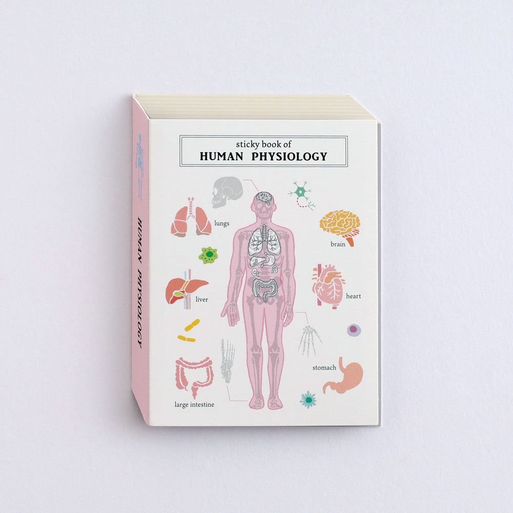 Study Holic Sticky note pad